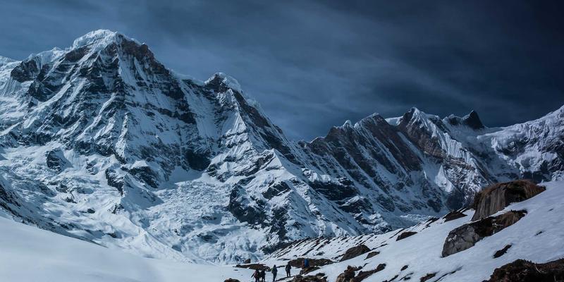 大脑的隐秘陷阱：认知偏误的神经科学基础与逻辑训练破解之道