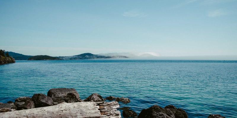 逻辑写作的核心：掌握这3种论证结构，让你的文章说服力提升200%