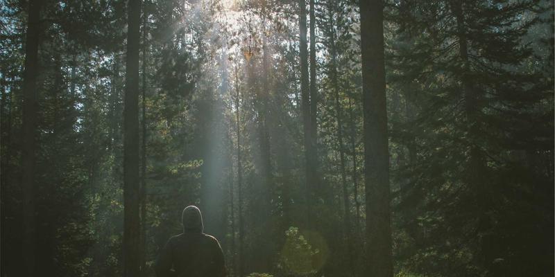 逻辑思维在亲子教育中的应用：3大策略培养孩子的推理与问题解决能力