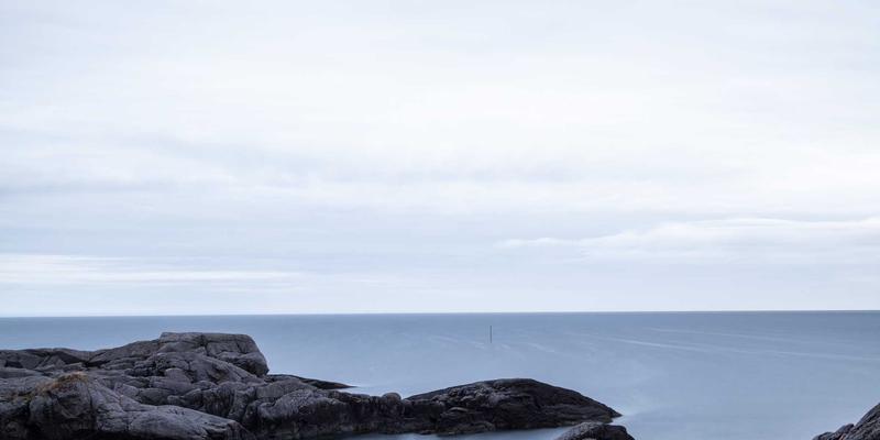 逻辑思维在商业决策中的实战应用：避免直觉陷阱，实现认知提升与智力开发