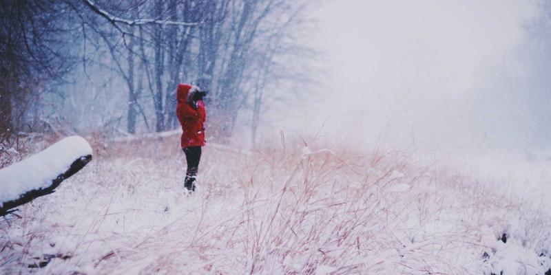 逻辑思维如何塑造法律论证：从批判性思维到严谨证据链的构建