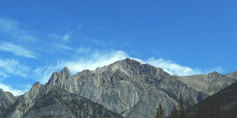 逻辑思维：法律论证的基石——如何通过批判性思维构建无懈可击的法律推理链条