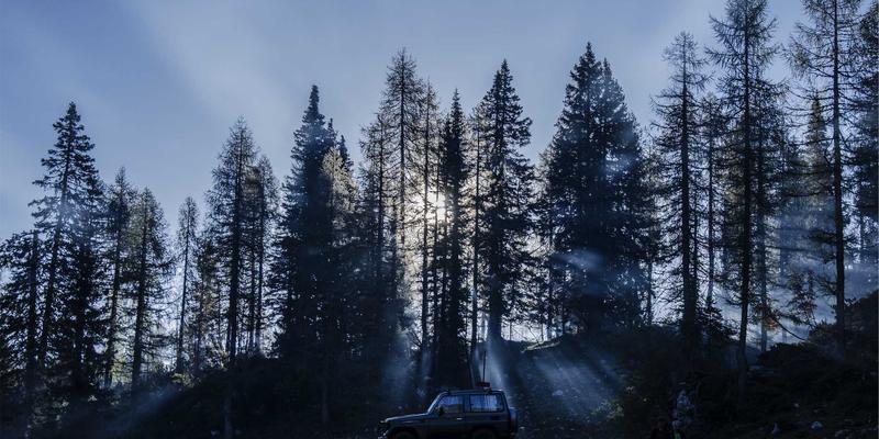 逻辑思维训练32：解锁认知潜能，构建高效思考框架