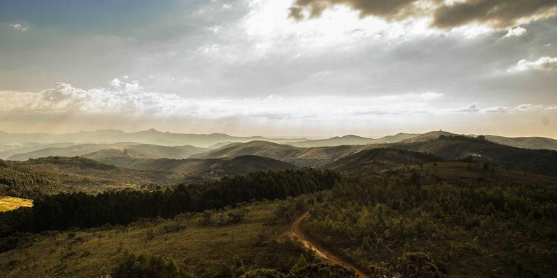 逻辑思维训练全攻略：用智力开发与推理谜题激活你的大脑潜能