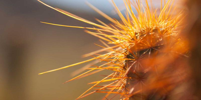 逻辑思维训练实战：用批判性思维破解社交媒体推理谜题