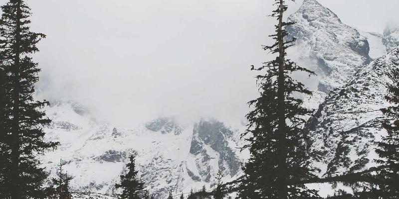 逻辑思维训练新维度：从电车难题到缸中之脑的批判性思维实战