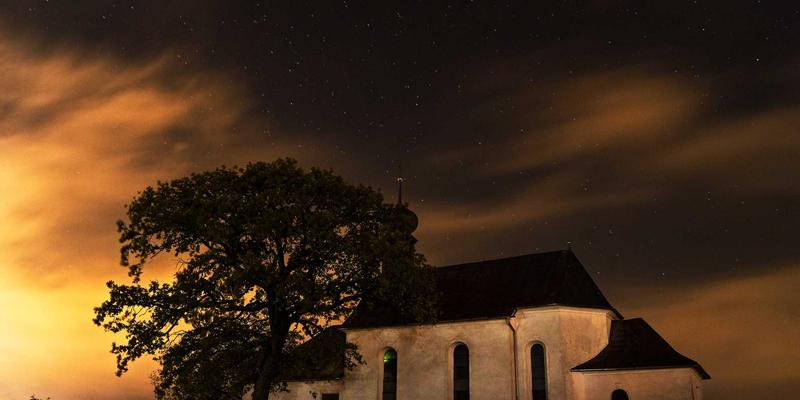 逻辑思维训练：识别7种常见思维陷阱，开启你的认知提升与智力开发之旅